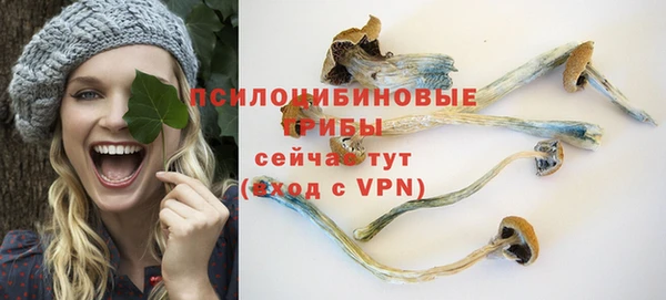 трава Балахна