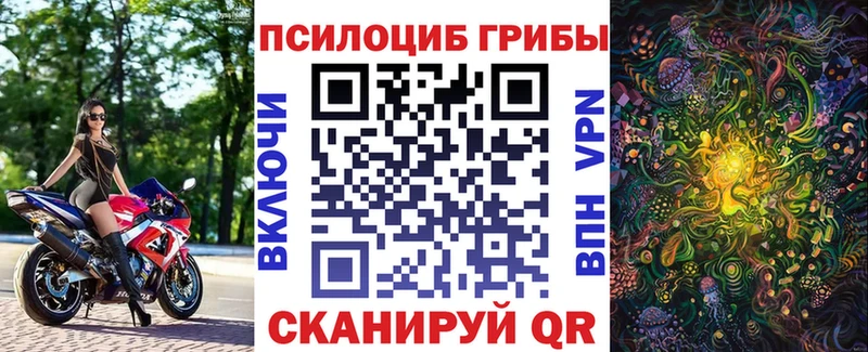 Галлюциногенные грибы Psilocybe  Новый Уренгой 