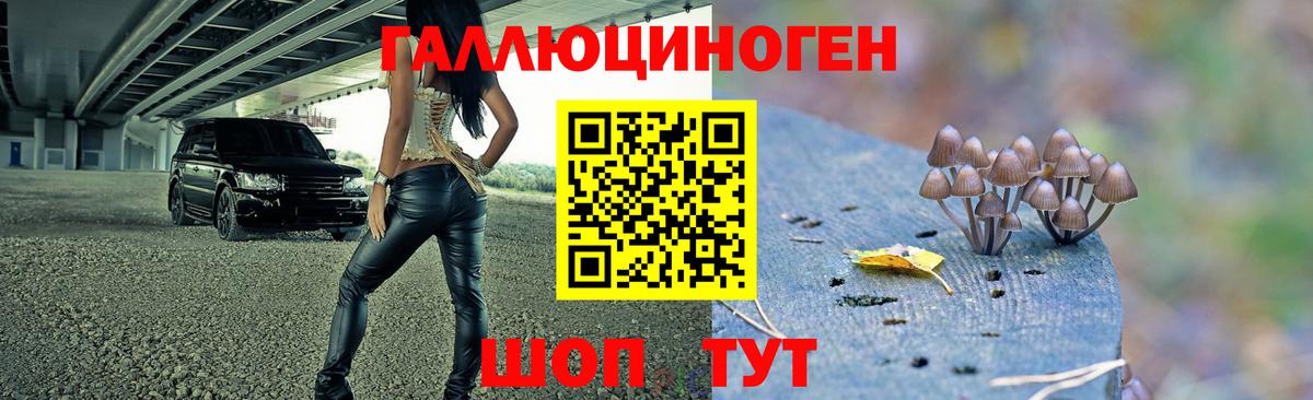 Галлюциногенные грибы GOLDEN TEACHER Новый Уренгой