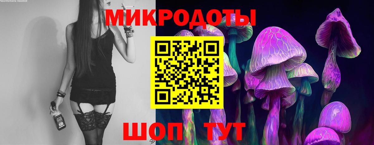 Новый Уренгой  Псилоцибиновые грибы Psilocybe  Вход с VPN 